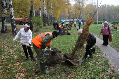 В ЦПКиО стало больше деревьев